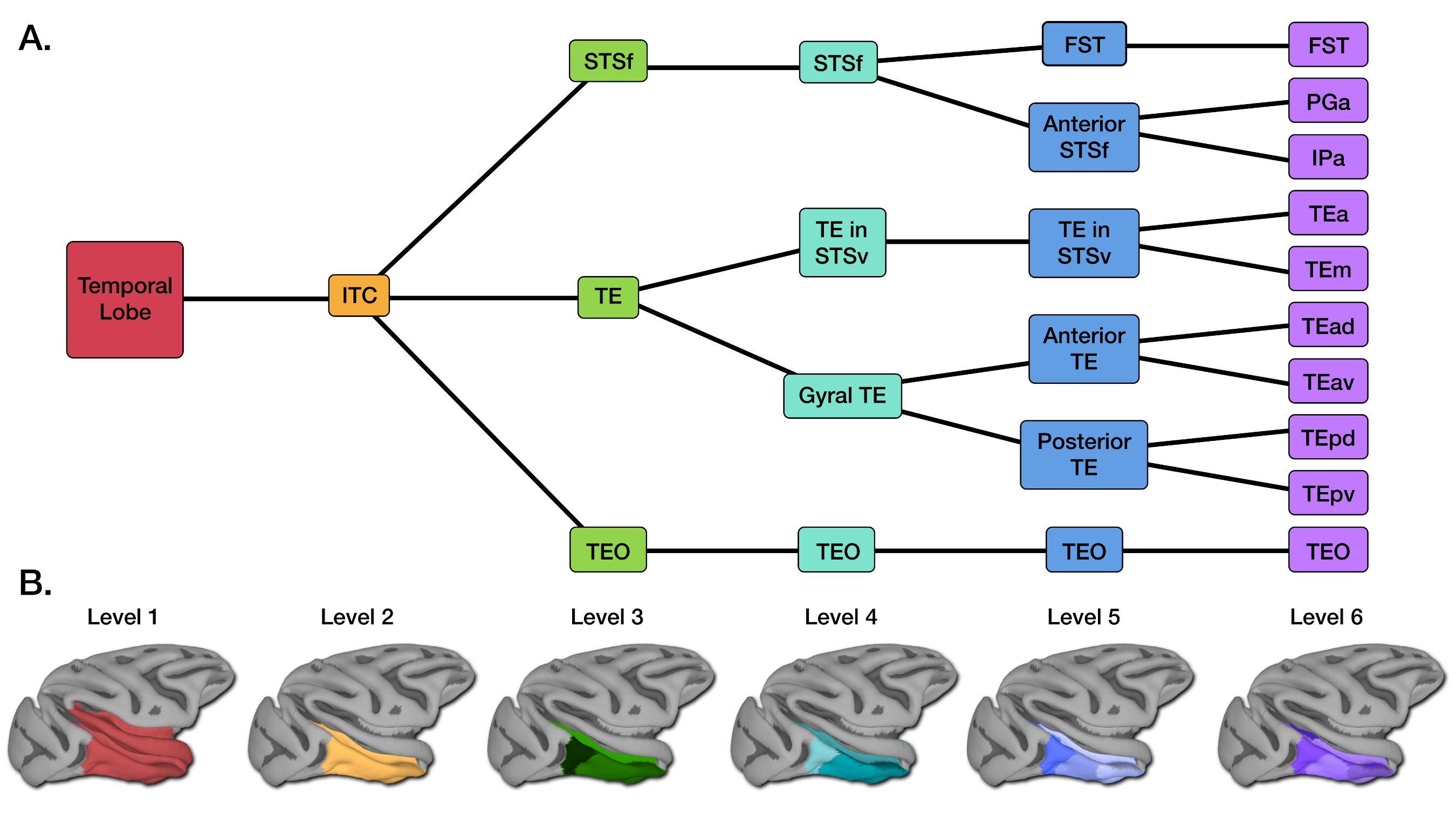 ../../_images/CHARM_Level_Flow_Orinoco.png